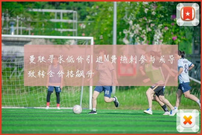 曼联寻求低价引进M费热刺参与或导致转会价格飙升