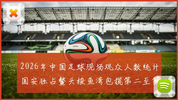 2026年中国足球现场观众人数统计国安独占鳌头梭鱼湾包揽第二至第七位